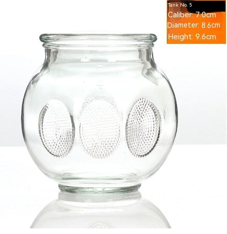 Beauty Salon Bath Household Glass Vacuum Cupping Device