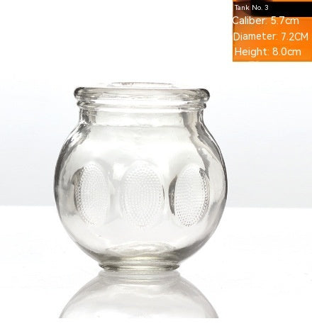 Beauty Salon Bath Household Glass Vacuum Cupping Device