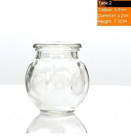 Beauty Salon Bath Household Glass Vacuum Cupping Device